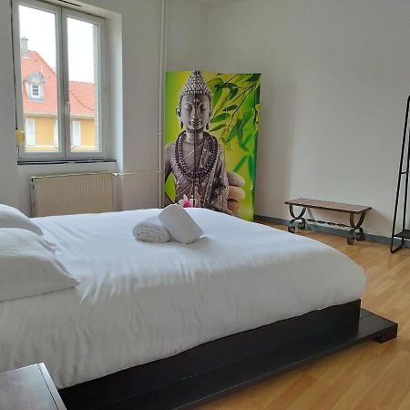 Le Thannois - Appartement 2 Chambres, Salon, Cuisine Equipee, Parking Et Wifi Gratuit Mulhouse Exterior photo