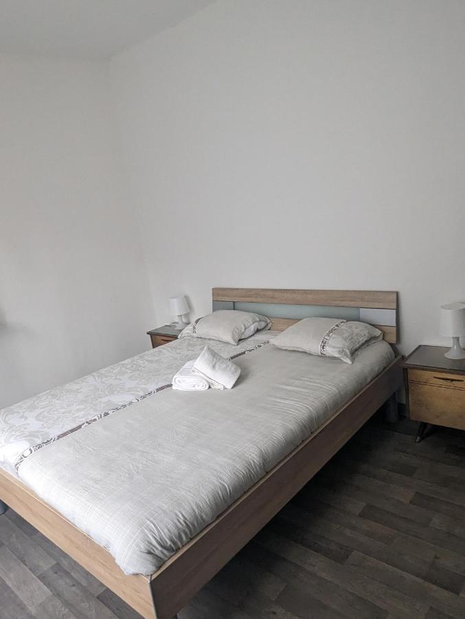 Le Thannois - Appartement 2 Chambres, Salon, Cuisine Equipee, Parking Et Wifi Gratuit Mulhouse Exterior photo